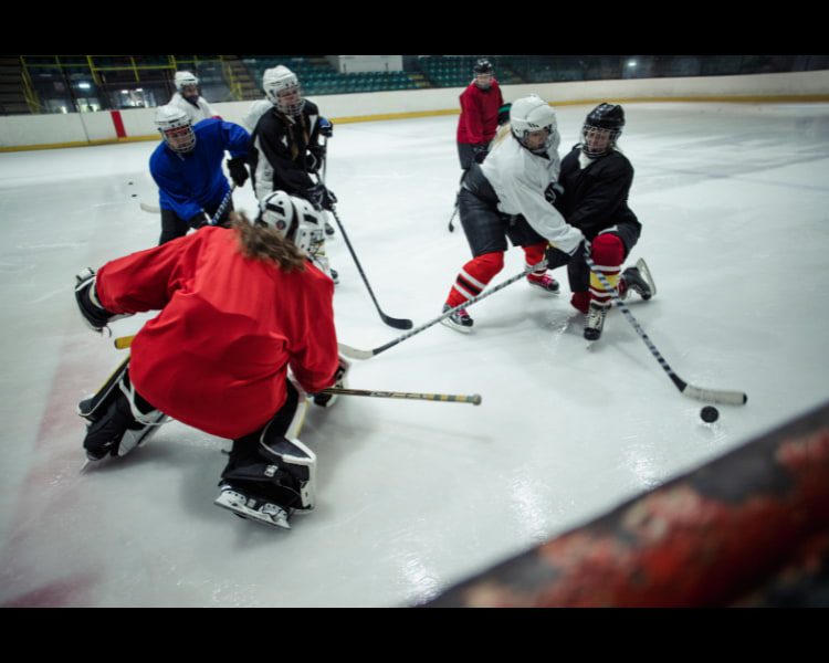 Defenseman hockey position and role in action 