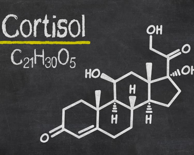 Cortisol Chemical Compound