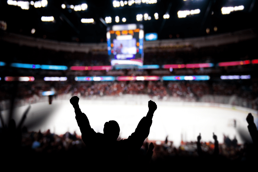 Hokey fan standing up celebrating in professional ice hockey rink 