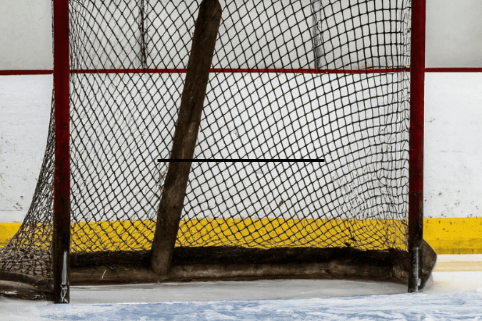 empty goal net 