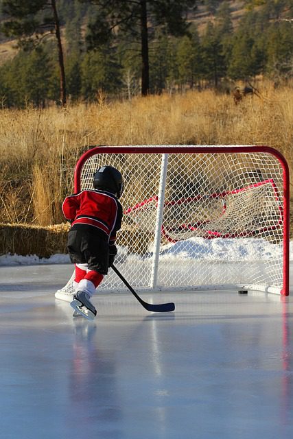 hockey, outdoor rink, net