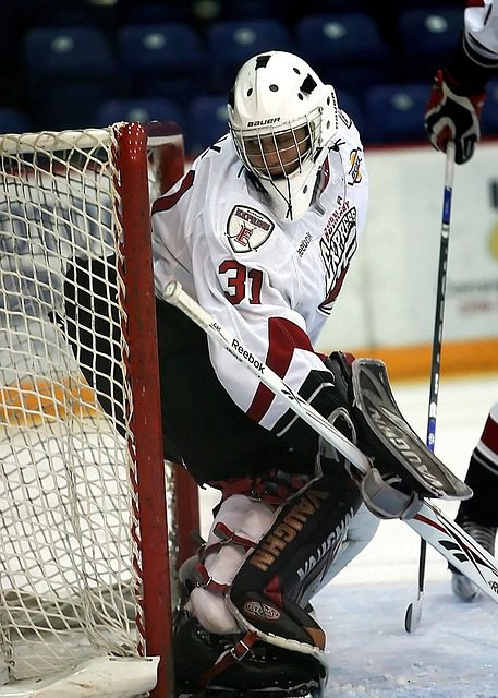 hockey, goalie, net